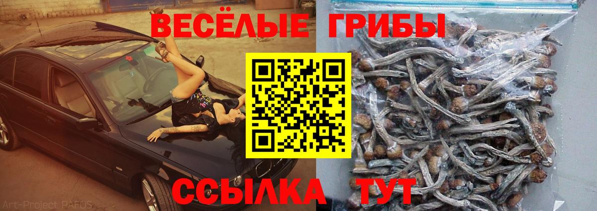 где можно купить наркотик  Галлюциногенные грибы Psilocybe  Вход с VPN  Галлюциногенные грибы MAGIC MUSHROOMS  Краснокаменск 